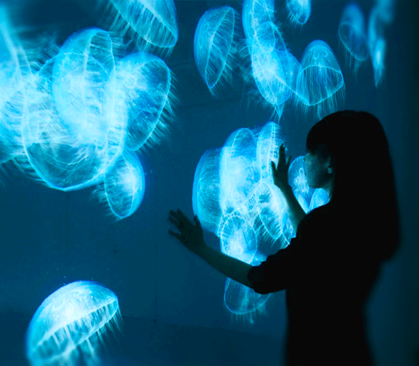 
                        A girl interacts with an interactive wall